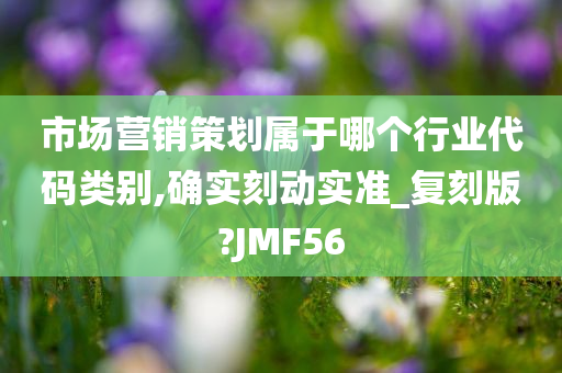 市场营销策划属于哪个行业代码类别,确实刻动实准_复刻版?JMF56