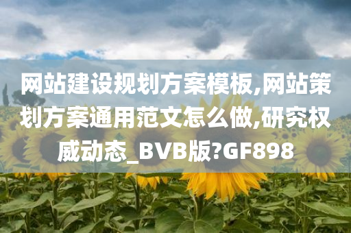 网站建设规划方案模板,网站策划方案通用范文怎么做,研究权威动态_BVB版?GF898