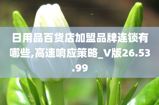 日用品百货店加盟品牌连锁有哪些,高速响应策略_V版26.53.99