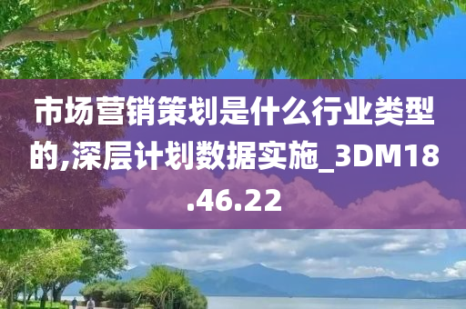 市场营销策划是什么行业类型的,深层计划数据实施_3DM18.46.22