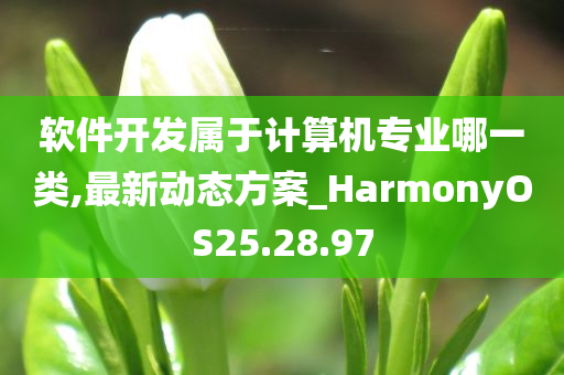 软件开发属于计算机专业哪一类,最新动态方案_HarmonyOS25.28.97