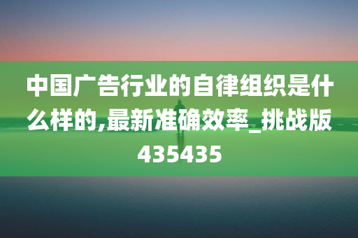 中国广告行业的自律组织是什么样的,最新准确效率_挑战版435435