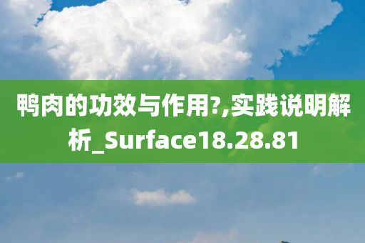 鸭肉的功效与作用?,实践说明解析_Surface18.28.81