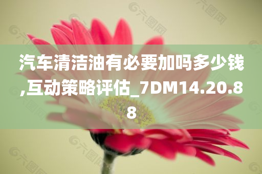 汽车清洁油有必要加吗多少钱,互动策略评估_7DM14.20.88