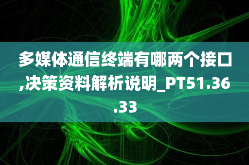 多媒体通信终端有哪两个接口,决策资料解析说明_PT51.36.33