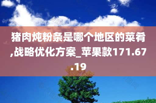 猪肉炖粉条是哪个地区的菜肴,战略优化方案_苹果款171.67.19