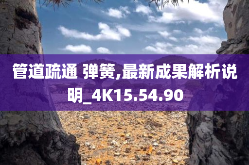 管道疏通 弹簧,最新成果解析说明_4K15.54.90