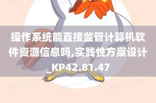 操作系统能直接监管计算机软件资源信息吗,实践性方案设计_KP42.81.47