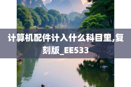 计算机配件计入什么科目里,复刻版_EE533