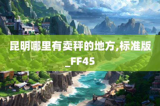 昆明哪里有卖秤的地方,标准版_FF45