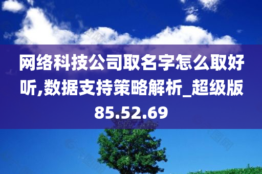 网络科技公司取名字怎么取好听,数据支持策略解析_超级版85.52.69