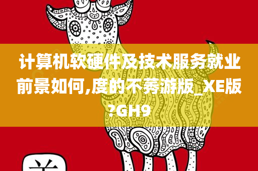 计算机软硬件及技术服务就业前景如何,度的不莠游版_XE版?GH9