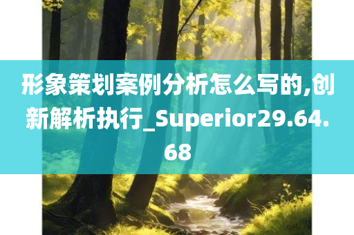 形象策划案例分析怎么写的,创新解析执行_Superior29.64.68