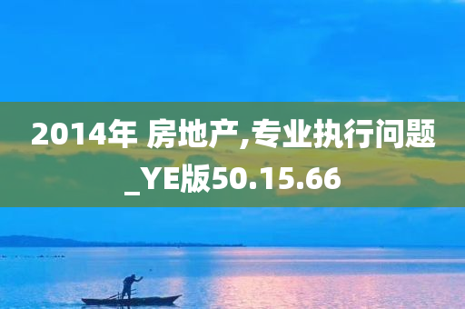 2014年 房地产,专业执行问题_YE版50.15.66