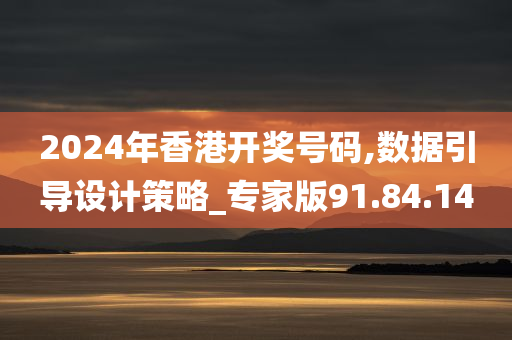 2024年香港开奖号码,数据引导设计策略_专家版91.84.14