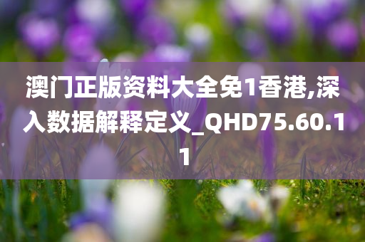 澳门正版资料大全免1香港,深入数据解释定义_QHD75.60.11