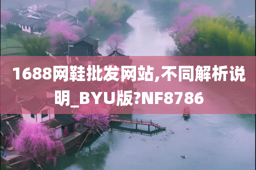 1688网鞋批发网站,不同解析说明_BYU版?NF8786