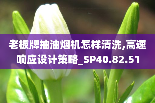 老板牌抽油烟机怎样清洗,高速响应设计策略_SP40.82.51