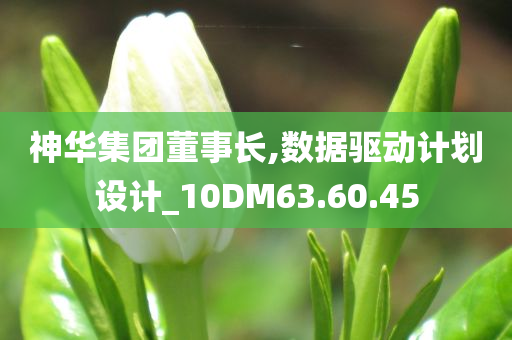 神华集团董事长,数据驱动计划设计_10DM63.60.45