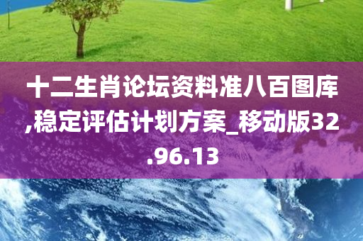 十二生肖论坛资料准八百图库,稳定评估计划方案_移动版32.96.13