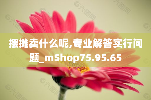 摆摊卖什么呢,专业解答实行问题_mShop75.95.65