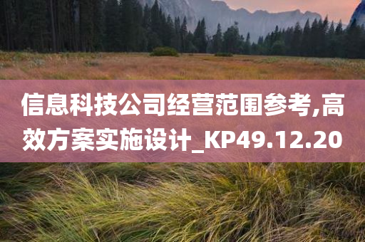 信息科技公司经营范围参考,高效方案实施设计_KP49.12.20