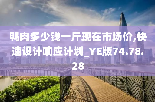 鸭肉多少钱一斤现在市场价,快速设计响应计划_YE版74.78.28