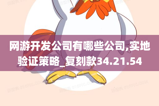 网游开发公司有哪些公司,实地验证策略_复刻款34.21.54