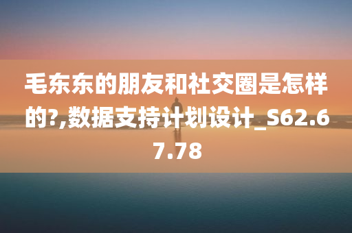 毛东东的朋友和社交圈是怎样的?,数据支持计划设计_S62.67.78