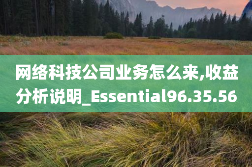 网络科技公司业务怎么来,收益分析说明_Essential96.35.56