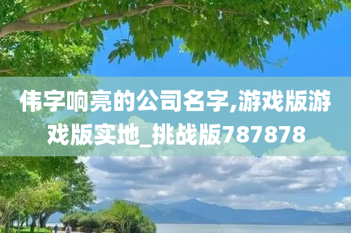 伟字响亮的公司名字,游戏版游戏版实地_挑战版787878