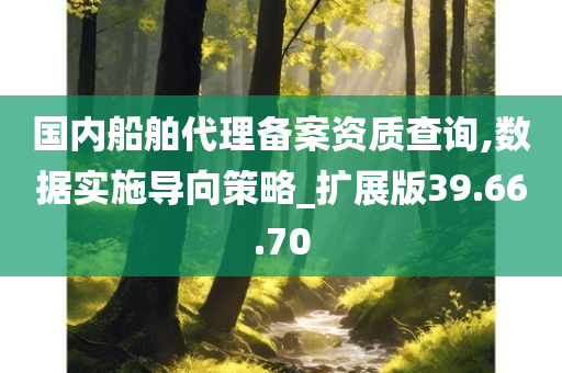 国内船舶代理备案资质查询,数据实施导向策略_扩展版39.66.70