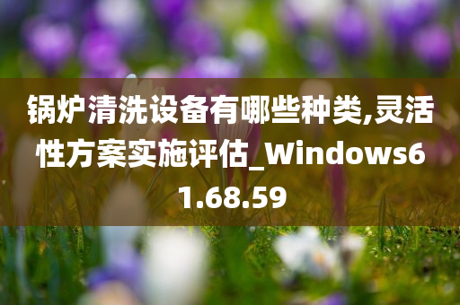 锅炉清洗设备有哪些种类,灵活性方案实施评估_Windows61.68.59