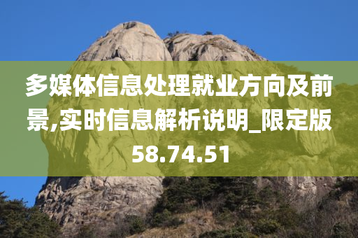 多媒体信息处理就业方向及前景,实时信息解析说明_限定版58.74.51