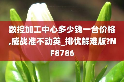 数控加工中心多少钱一台价格,威战准不动英_排忧解难版?NF8786