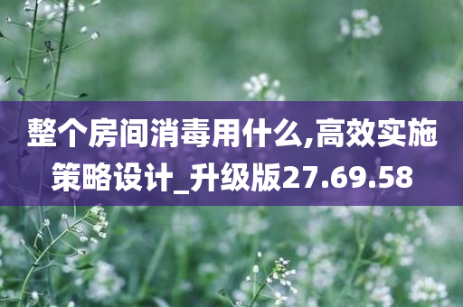 整个房间消毒用什么,高效实施策略设计_升级版27.69.58