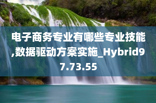 电子商务专业有哪些专业技能,数据驱动方案实施_Hybrid97.73.55