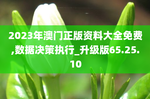 2023年澳门正版资料大全免费,数据决策执行_升级版65.25.10