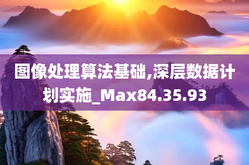 图像处理算法基础,深层数据计划实施_Max84.35.93