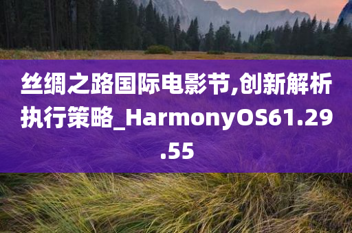 丝绸之路国际电影节,创新解析执行策略_HarmonyOS61.29.55