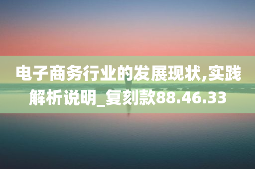 电子商务行业的发展现状,实践解析说明_复刻款88.46.33