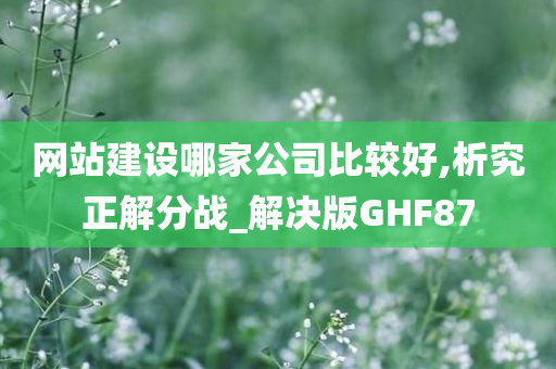 网站建设哪家公司比较好,析究正解分战_解决版GHF87