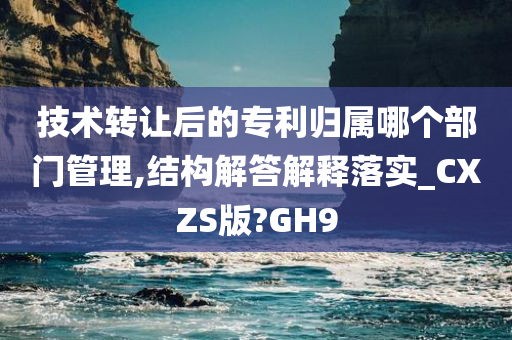 技术转让后的专利归属哪个部门管理,结构解答解释落实_CXZS版?GH9