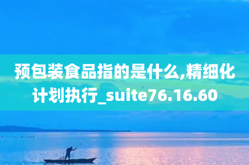 预包装食品指的是什么,精细化计划执行_suite76.16.60