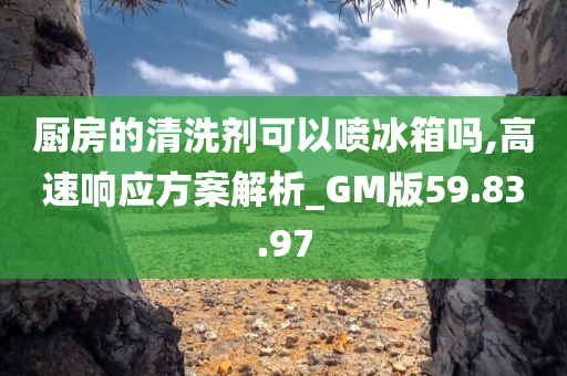 厨房的清洗剂可以喷冰箱吗,高速响应方案解析_GM版59.83.97