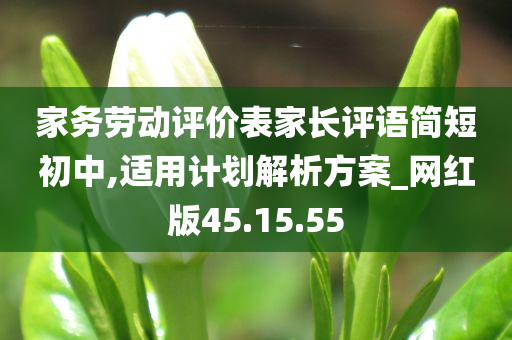 家务劳动评价表家长评语简短初中,适用计划解析方案_网红版45.15.55