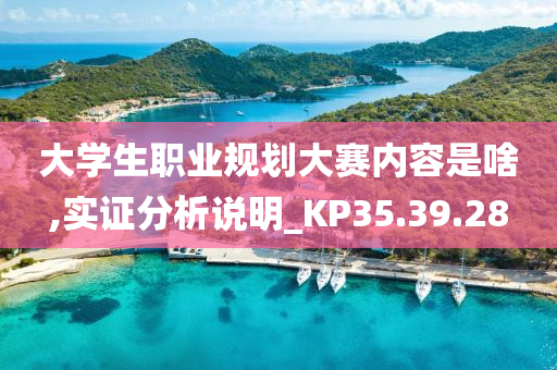 大学生职业规划大赛内容是啥,实证分析说明_KP35.39.28