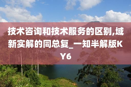 技术咨询和技术服务的区别,域新实解的同总复_一知半解版KY6