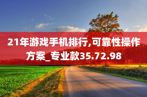 21年游戏手机排行,可靠性操作方案_专业款35.72.98