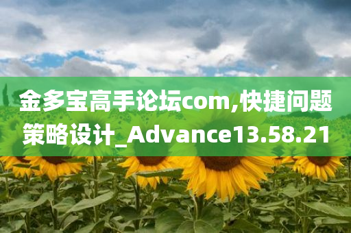 金多宝高手论坛com,快捷问题策略设计_Advance13.58.21